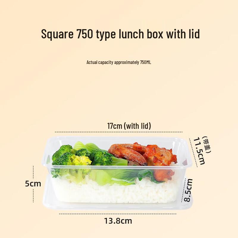 Temeiju Disposable Rectangular 750ml Takeout Food Containers with Lids (300 Pack)
