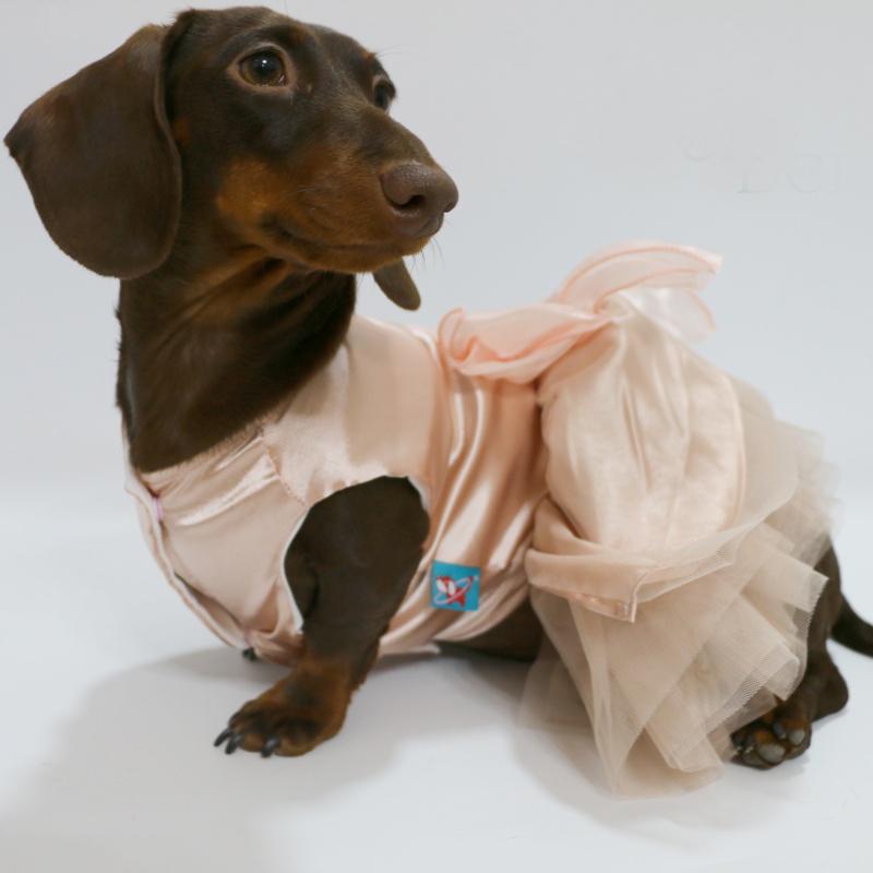 Lace Sleeveless Dress for Dachshund Dogs Summer Pink Suspended bubble Skirt For Female Dachshund Dogs in Spring Party Weeding