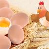 Toy DIY Graffiti Egg Party Supplies Artificial Eggs Educational Toy Fake Chicken Eggs Easter  Egg