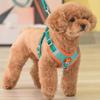 Ventilate Vest Type Dog Leash Pet Chest Strap Reflective Design Puppy Walking Leash Safety Protection Dog Neck Ring Collars