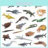 Criaturas Oceânicas Antigas Modelo de PVC Amonite Para Crianças Exibição Educacional de Animais Marinhos