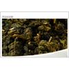Organic Jin Xuan Milk Oolong Tea, 100g, Taiwan High Mountain Loose Leaf