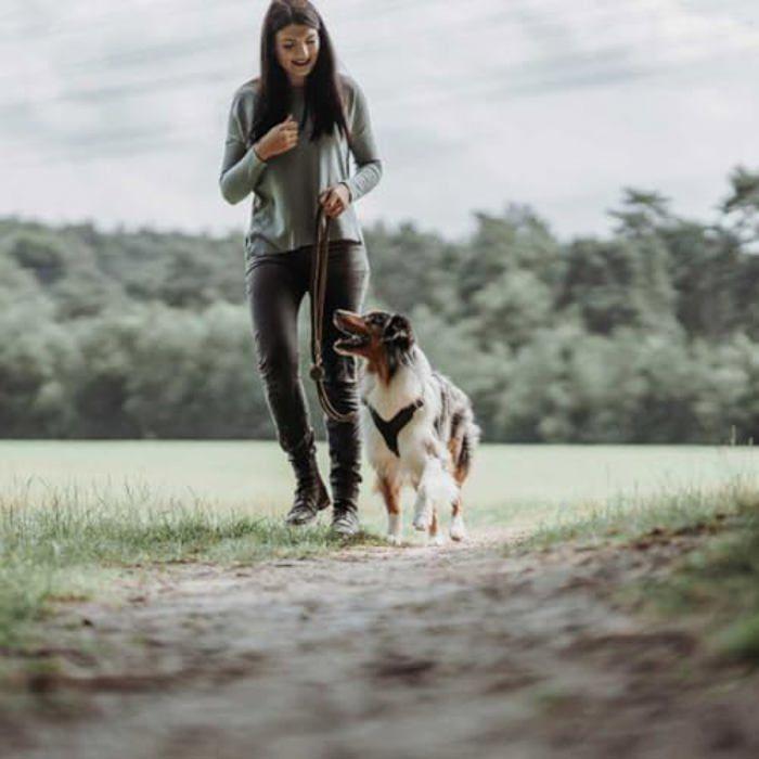 Laisse d'entraînement - HUNTER - Cuir de Vachette Souple - 13 mm - 200 cm - Marron foncé