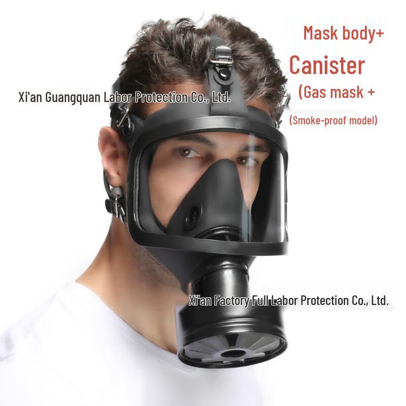 SANSHENG Full Face Respirator with Filter One Size