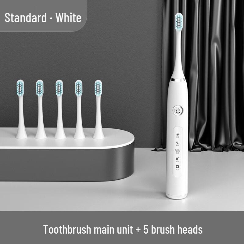 Shengbai Sonic Electric Toothbrush