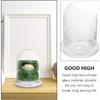 DOITOOL Glass Cloche Dome Bell Jar with Airhole and Base: 2 PCS Glass Terrarium Planter Container Decorative Clear Terrarium Planter for Plants,