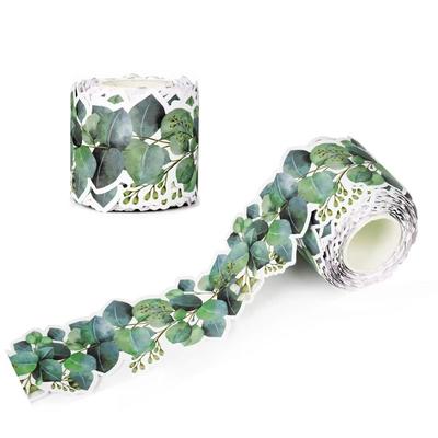 Self-Adhesive Eucalyptus Themed Border Sticker 7.6cm*10M Green Leaves  Border Trim  Classroom