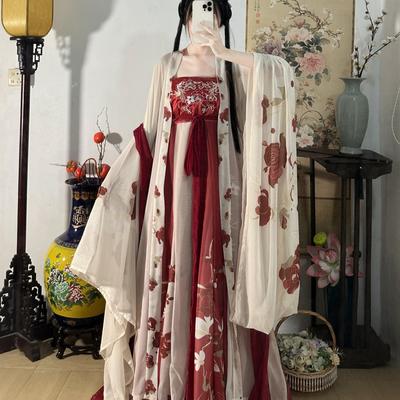 Abito cinese stile dinastia Tang HE ZI Abito da donna Hanfu Abito quotidiano ricamato