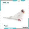 Cross-border Bird Model: Children's Budgerigar & Cockatiel Desktop Decor