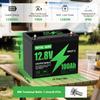 EU USA Stock12V 100AH LiFePO4 Lithium Ion Batteries Germany WAREHOUSE 100A BMS Suitable for Camping, RV,home Solar Energy System