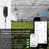 Graffiti WiFi Dual-Channel Temp & Humidity Switch with Timer & Alexa Support