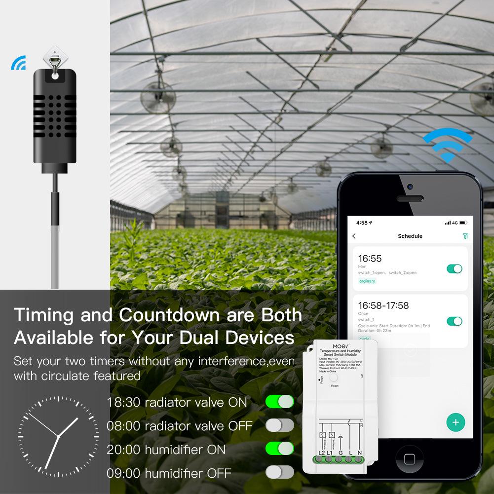 Graffiti WiFi Dual-Channel Temp & Humidity Switch with Timer & Alexa Support
