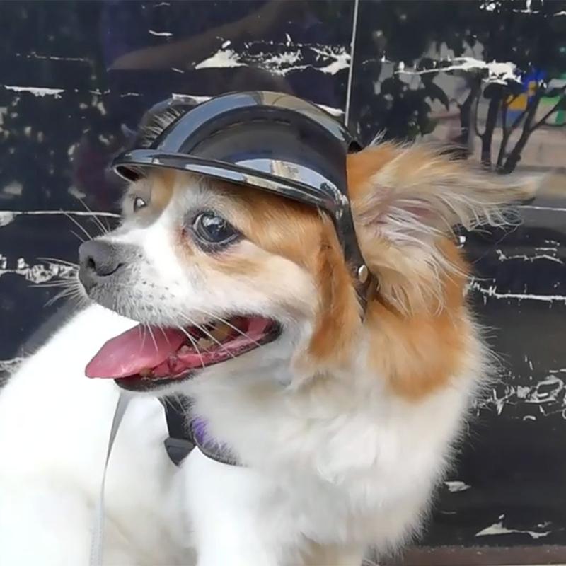 Dog Goggles Adjustable Pet Helmets Puppy Helmets Motorcycle Dog Sunglasses Dog Hat Dog Hat Safetys Helmets