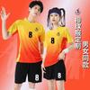 Men Women Volleyball Jersey Set Quick Dry Breathable Badminton Training Sportswear