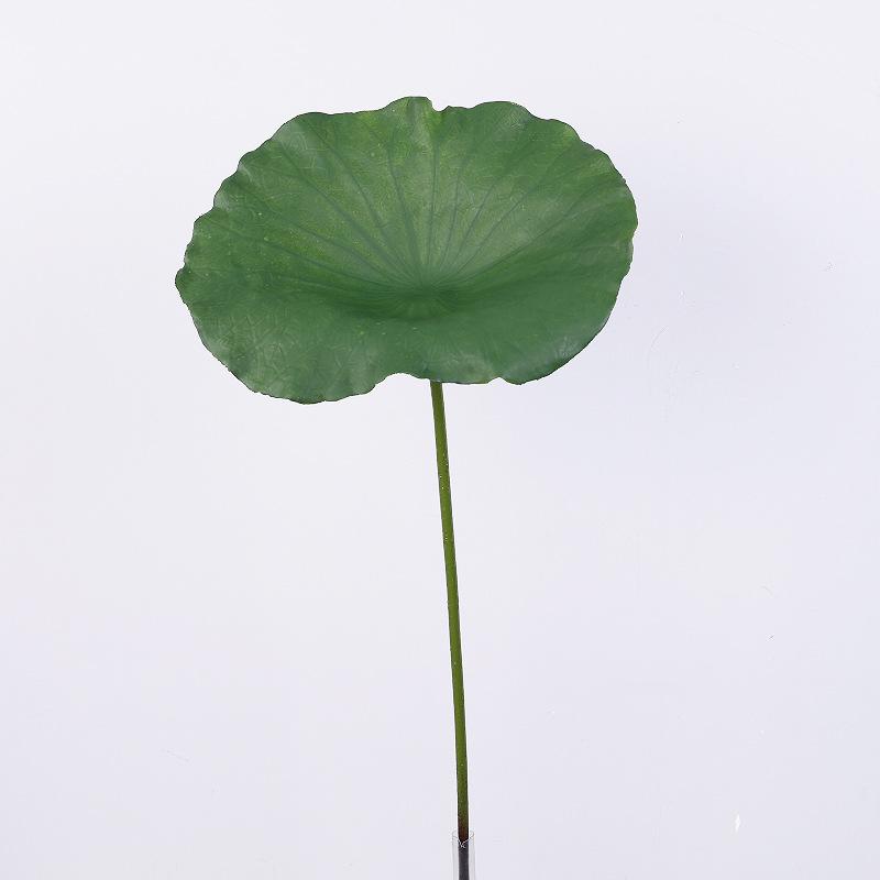 Explosive simulation 3D lotus plant lotus leaf false lotus pod ornament pool photography prop