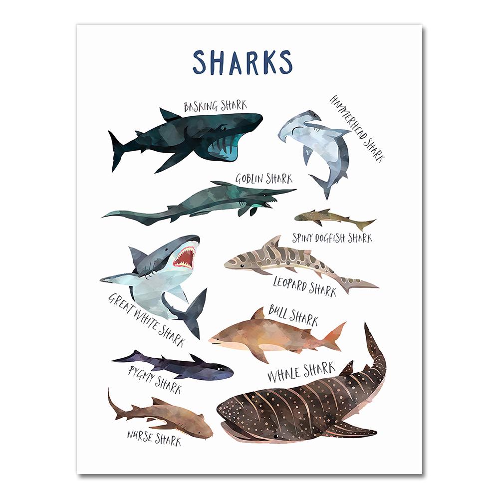 Child Poster Whale Shark Marine Animal Nursery Canvas Art Print Education Wall Picture Painting Nordic Baby Kids Room Decoration