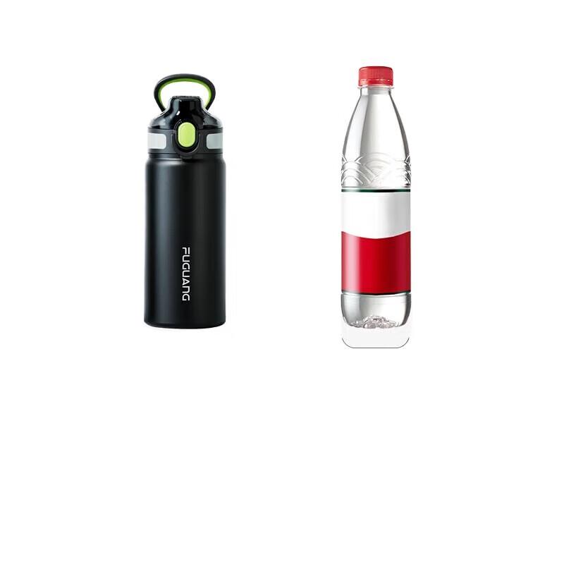 

FUGUANG 600ml 316L Stainless Steel Insulated Straw Sports Water Bottle