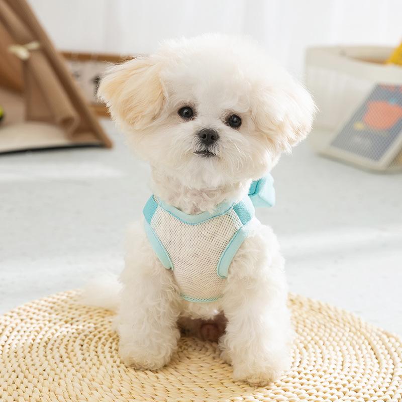 

Funny Backpack Traction Dog Vest Mesh Breathable Spring Summer Clothing Small Dog Pet Out Teddy Clothing XXL (recommended weight 15-10kg)