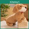 Adorable Soft Plush Dachshund Dog Toy For Kids Perfect For Cuddly Companionship Gift