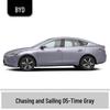 BYD Qin Car Touch-Up Paint Pen - Vehicle-Specific, Waterproof, Anti-Abrasion, Seal, Seagull, Destroyer, Frigate-Compatible.