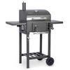 Griglia a Carbone Berdsen Bd-892