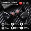 Linsoul Kiwi Ears Canta Hybridní High-End HiFi Sluchátka, 3,5mm Jack, HIFI Kvalita Zvuku, Hluboké Basy, Potlačení Hluku, Stereo Sluchátka, Černá, Kabelová
