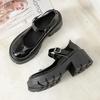 Women's Shoes 2025 Brand Shallow Women's High Heels Buckle Strap Plus Size Dress Best Seller Heels Women Mary Jane Shoes