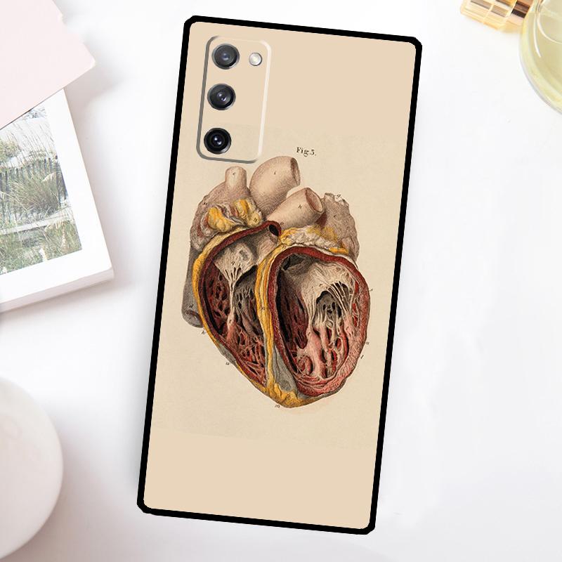 Medizinische menschliche Anatomie Hülle Für Samsung Galaxy S23 Ultra S22 Plus S20 S21 FE S8 S9 S10 Note 10 20 S24 Ultra Hülle