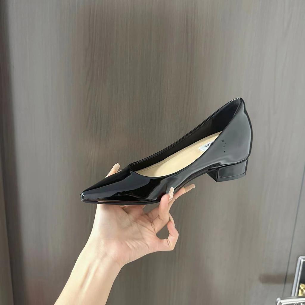 2025 spring and autumn new inner height increase single shoes women's leather pointed head shallow mouth thick heel work commuter small leather sho