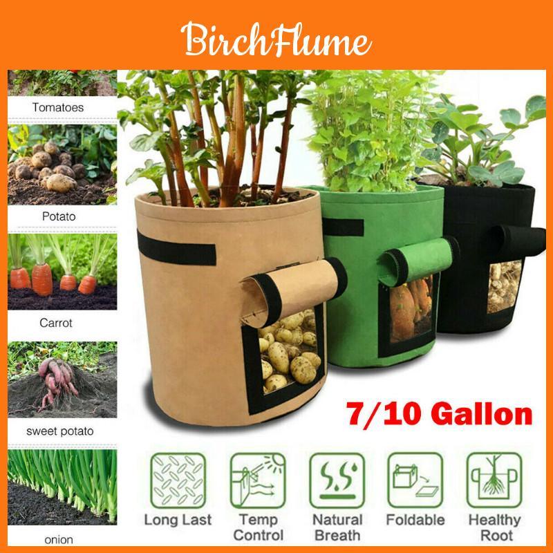 Durable And Reusable 5/7/10 Gallon Vegetable Grow Bags With Convenient Carry Handles