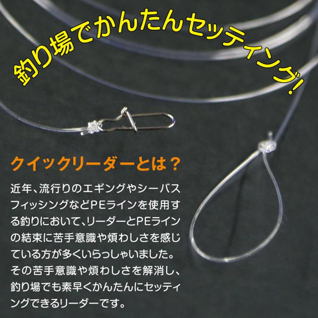 DUEL Fluoroline No. 5.0 Quick Reader No. 5.0 with Snap Clear H2547