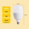 Pailide LED Warrior Series Globe Bulb