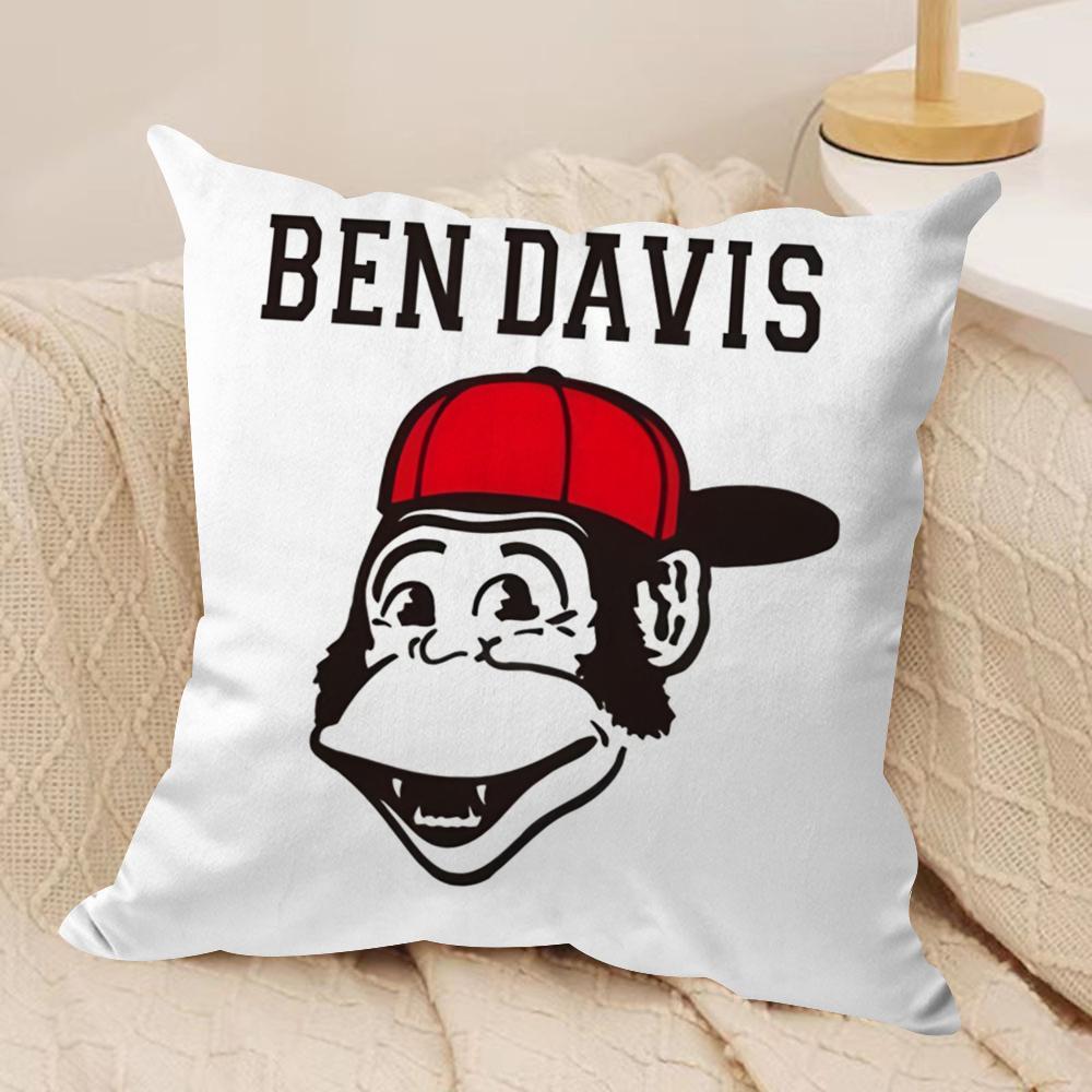 

Luxury BBen DDavis Cushion Cover Pillowcase Ultra Soft Skin Friendly Fabric Cloud Like Comfort Concealed Zipper 30x30cm