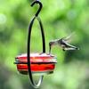 Hummingbird Drinker Feeder with Red Bowl Outdoor Humming Bird Feeder Attract Birds for Outside Garden Backyard Patio Deck