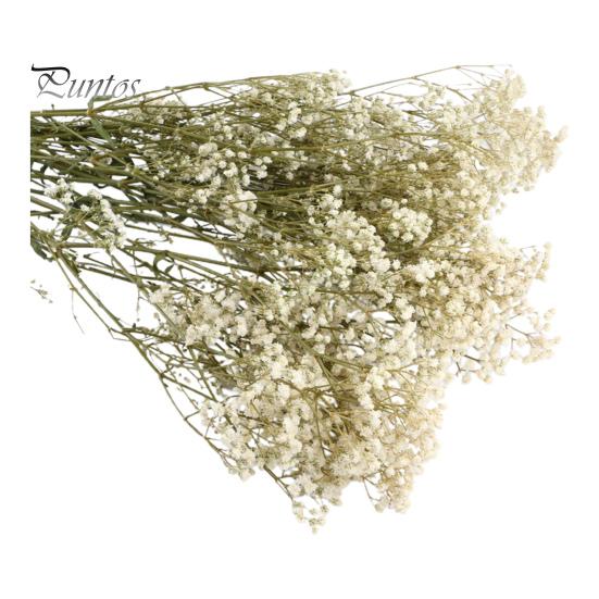 

Еоніум Букет із сухих квітів Яскравий колір Не вицвітає Простий догляд Натуральна висушена гіпсофіла Декорація до Дня святого Валентина білий