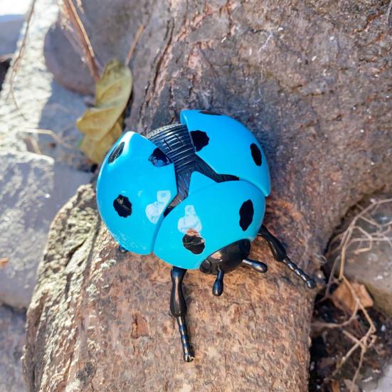 Wind-up Simulation Ladybird Toy Stress Relief Clockwork Beetle Toy Toddlers Boys Girls Educational Interactive Insect Model