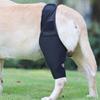 Ginocchiera per Cani per Dolore Articolare Supporto per Gamba Muscolare Anteriore o Posteriore per Cani Anziani Disabili Infortunati