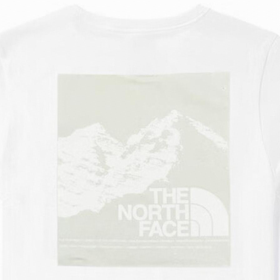 The North Face T Shirt Men's White NF0A875S-FN4