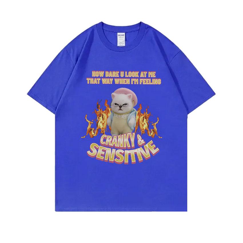 How Dare U Look At Me That Way When Im Feeling Cranky Sensitive Kawaii Cat Funny Meme Tshirt Unisex Women Casual Cotton T Shirts