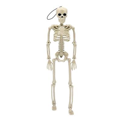 Halloween Decoration Outdoor Indoor Skeleton Model Figurine Moveable Joint Skeleton Scary for Doll Haunted House Props D