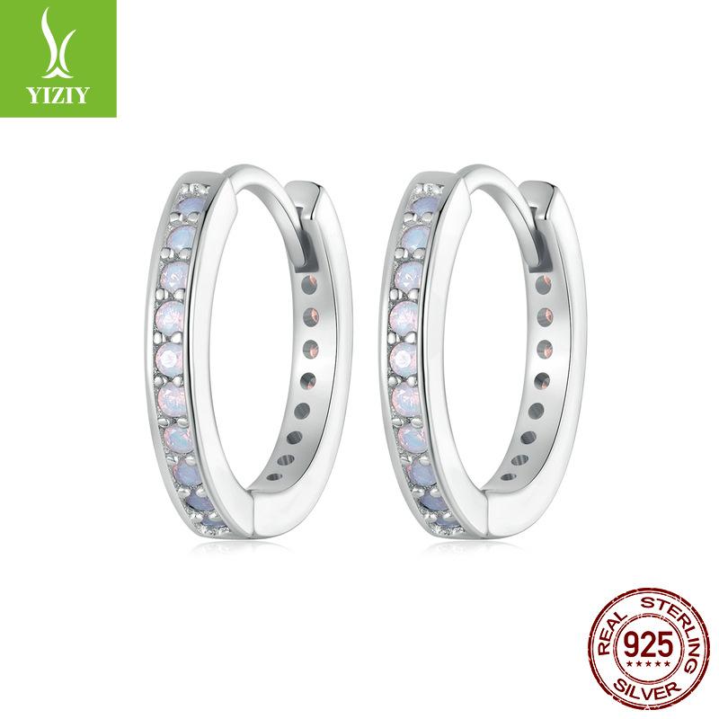 S925 Sterling Silver Earrings Women'S, Personalized High-End Zircon Ring Earrings Jewelry