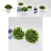 Artificial Starry Sky Hemisphere Plant Pot With Plastic Material For Wedding Decor And Indoor Garden