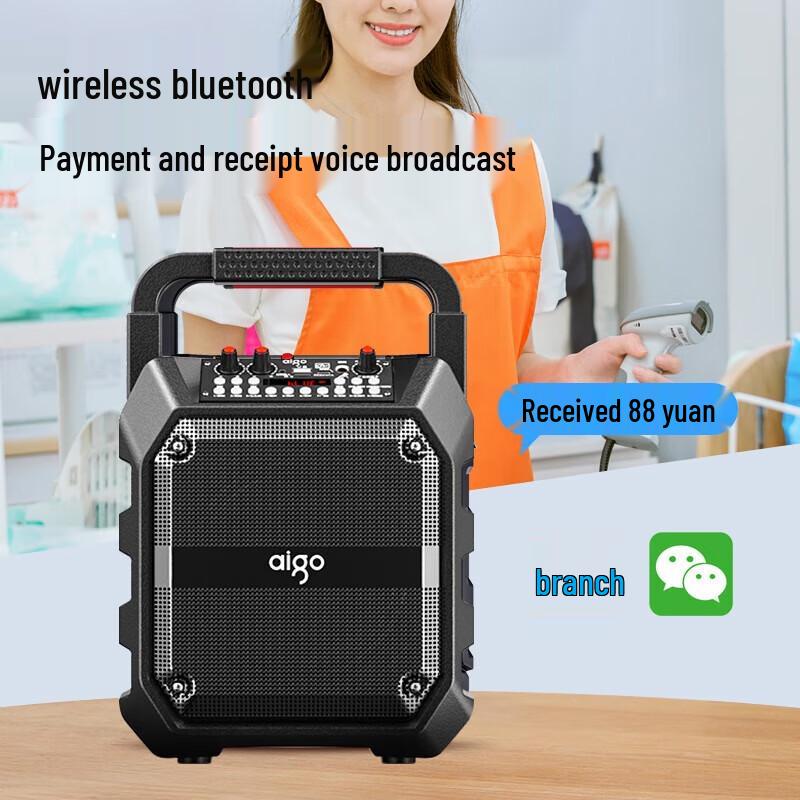 Aigo T52 Portable Outdoor KTV Bluetooth Speaker CN plug (adapter included)