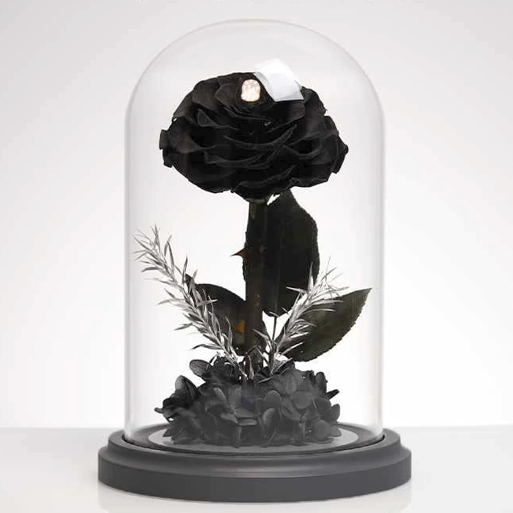Verbenis Preserved Rose, Single Flower, with Glass Dome, Beauty and the Beast Inspired Rose Bouquet, Everlasting Flower, Eternal Love, Gift for Birthd