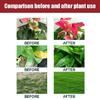 Gardening Slow Release Tablets Organic Fertilizers Strong Root for Garden