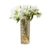 Elegant Glacier Glass Vase: Thick Transparent Design for Lucky Bamboo & Fresh Flowers, Perfect for Living Rooms & Dining Tables.