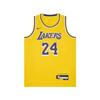 Nike Dri Fit Kids' Top ICON EDITION Swingman Kids' IQ7133-728