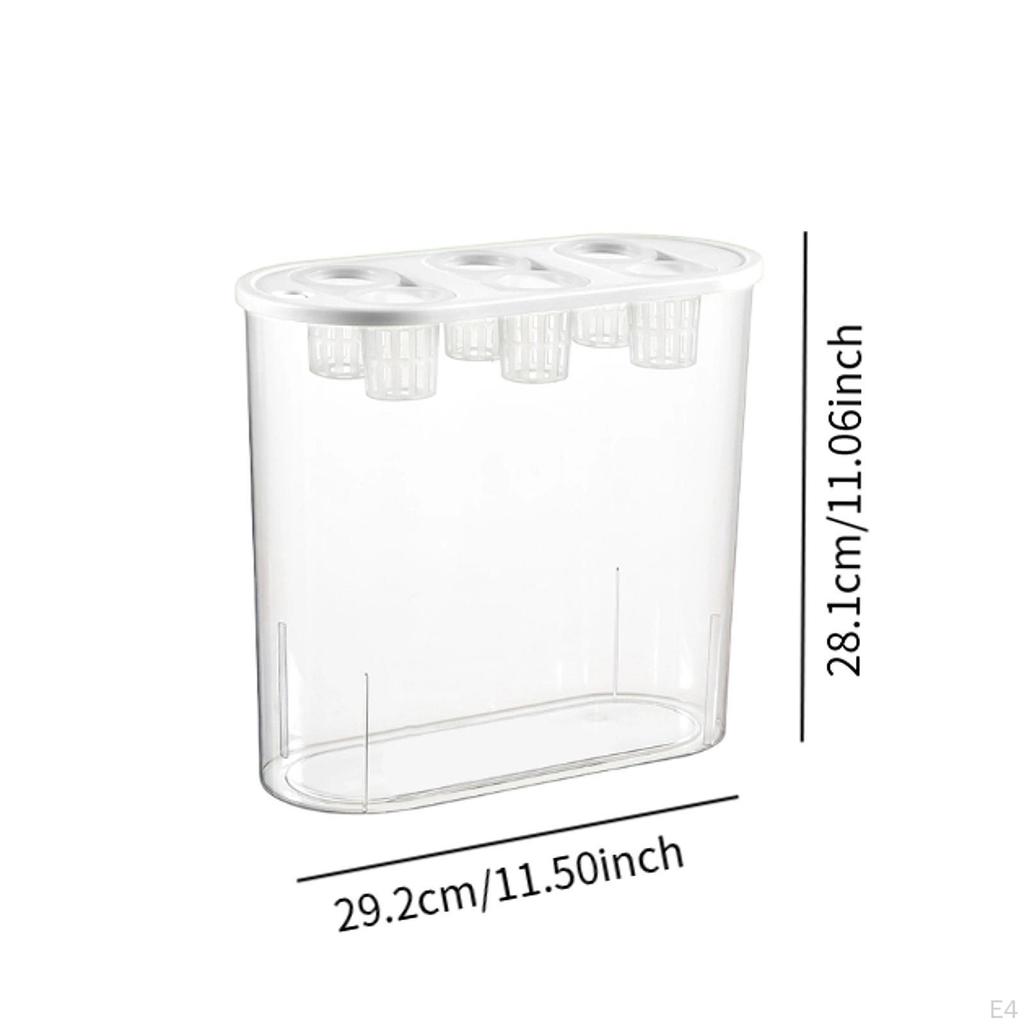 Grower Box, Hydroponics Tool, 6 Holes, Powerful, Practical Rectangular Planting Container for Indoor