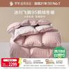 Home Textiles 95% Goose Down Anti-Mite Winter Duvet