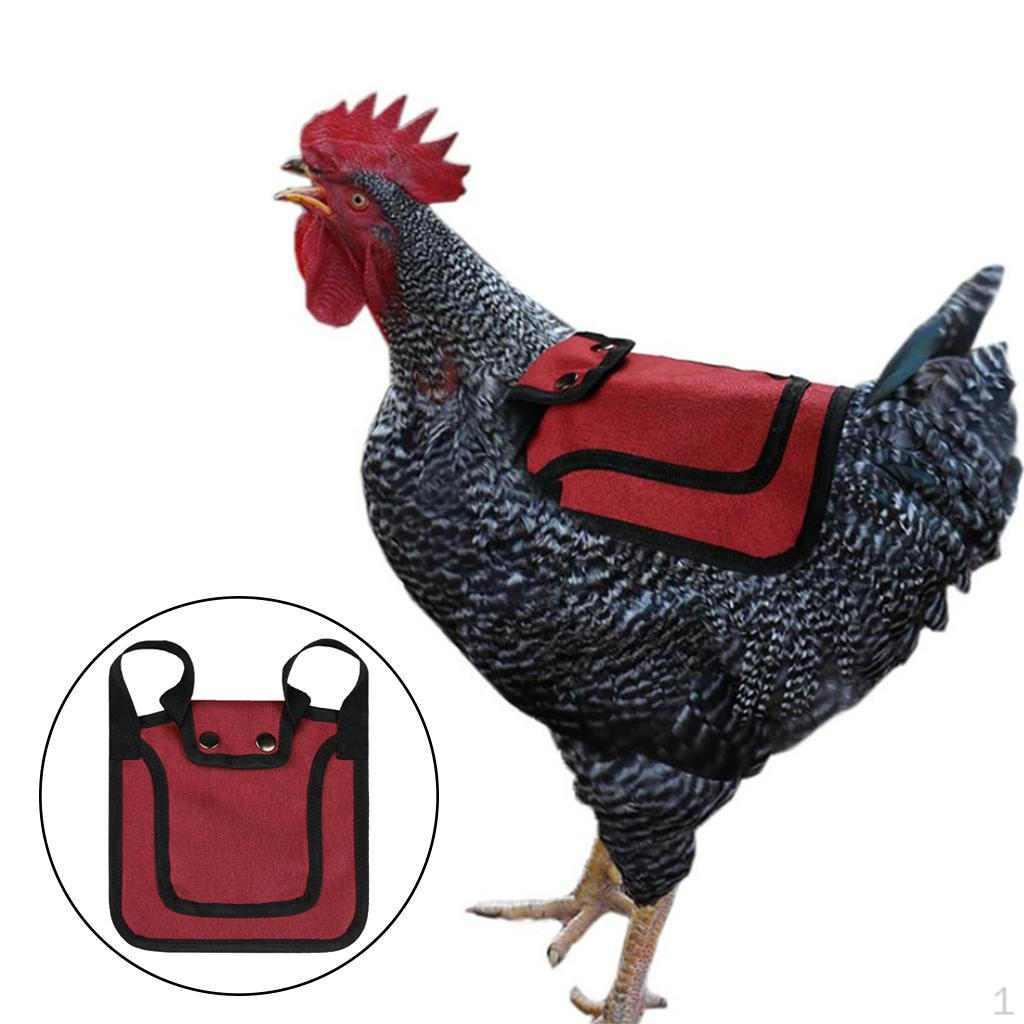Adjustable Pet Clothes Hen Apron Poultry Chicken Saddle Feather